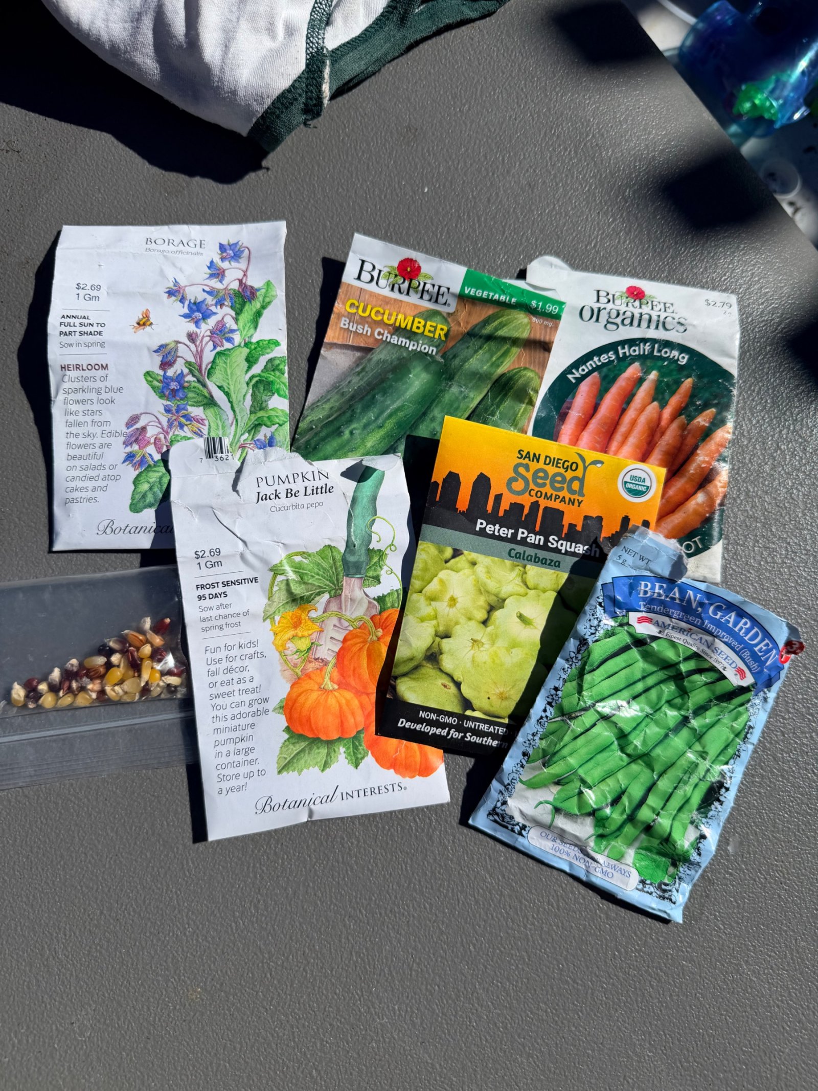 Seeds to Trade for Fruit 🍎 🍓🫐 — 2